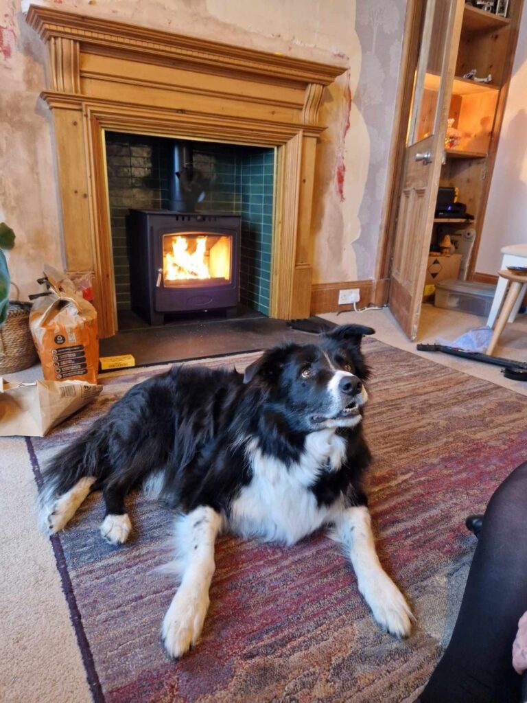 Photo 11-12-2025, 09 23 18